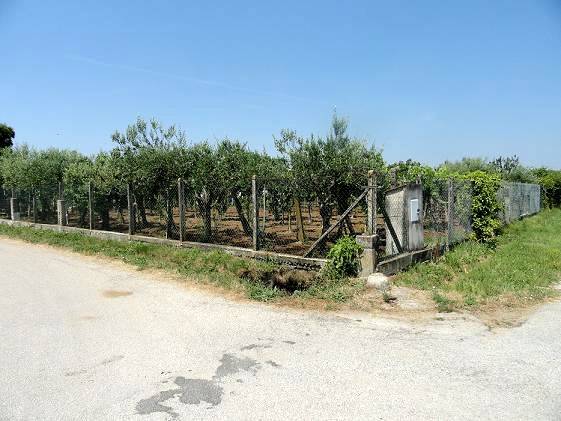 Terreno a Aprilia - Foto 2