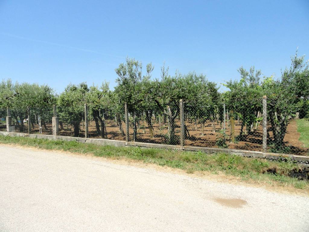 Terreno a Aprilia - Foto 3