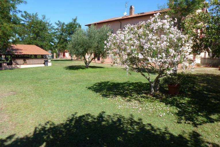 Rustico / casale a Rosignano marittimo in SP10, 26 - Foto 5
