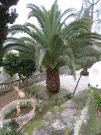 Casa indipendente a Massarosa - Foto 5