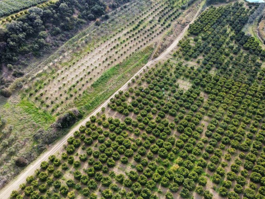 Terreno a Rotondella in Strada Comunale di Caramola - Foto 4