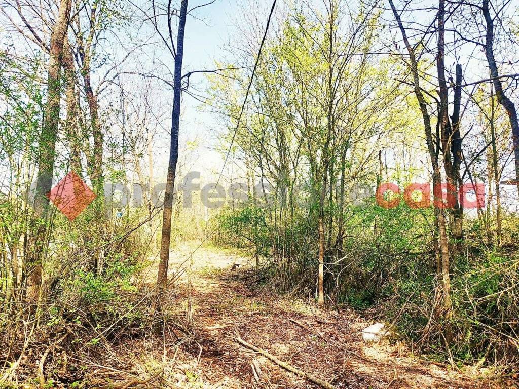 Terreno a Cassino in VIA GUADO MULETO, 0 - Foto 2