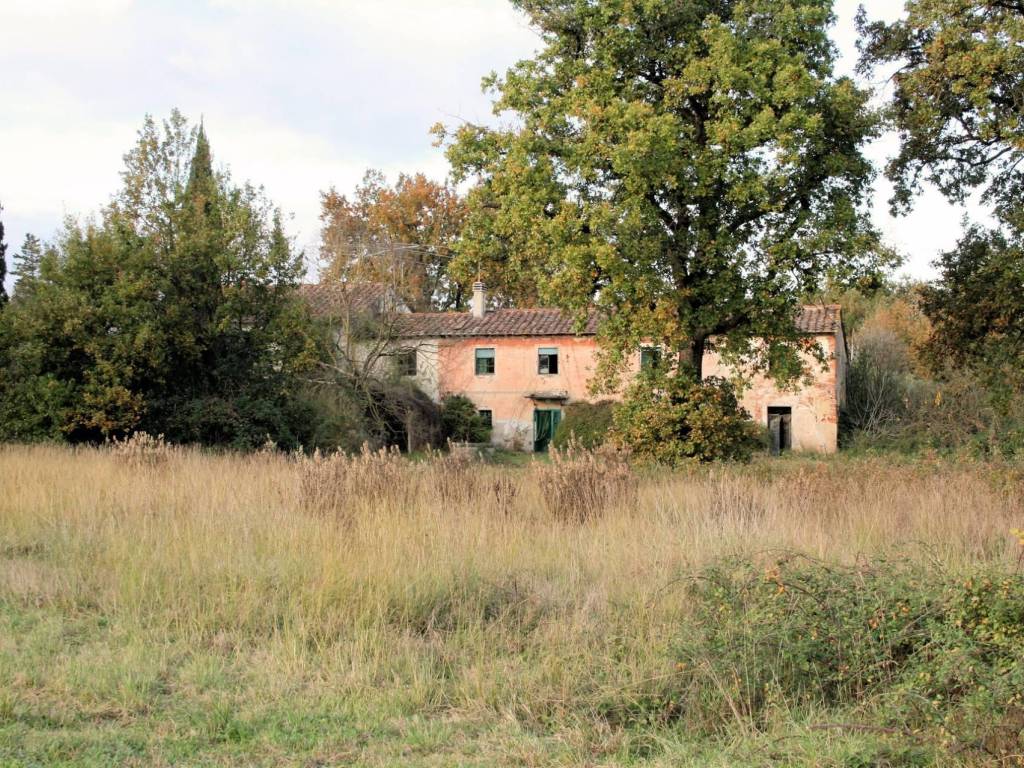 Rustico / casale a Altopascio in Strada provinciale dei Biagioni - Foto 4