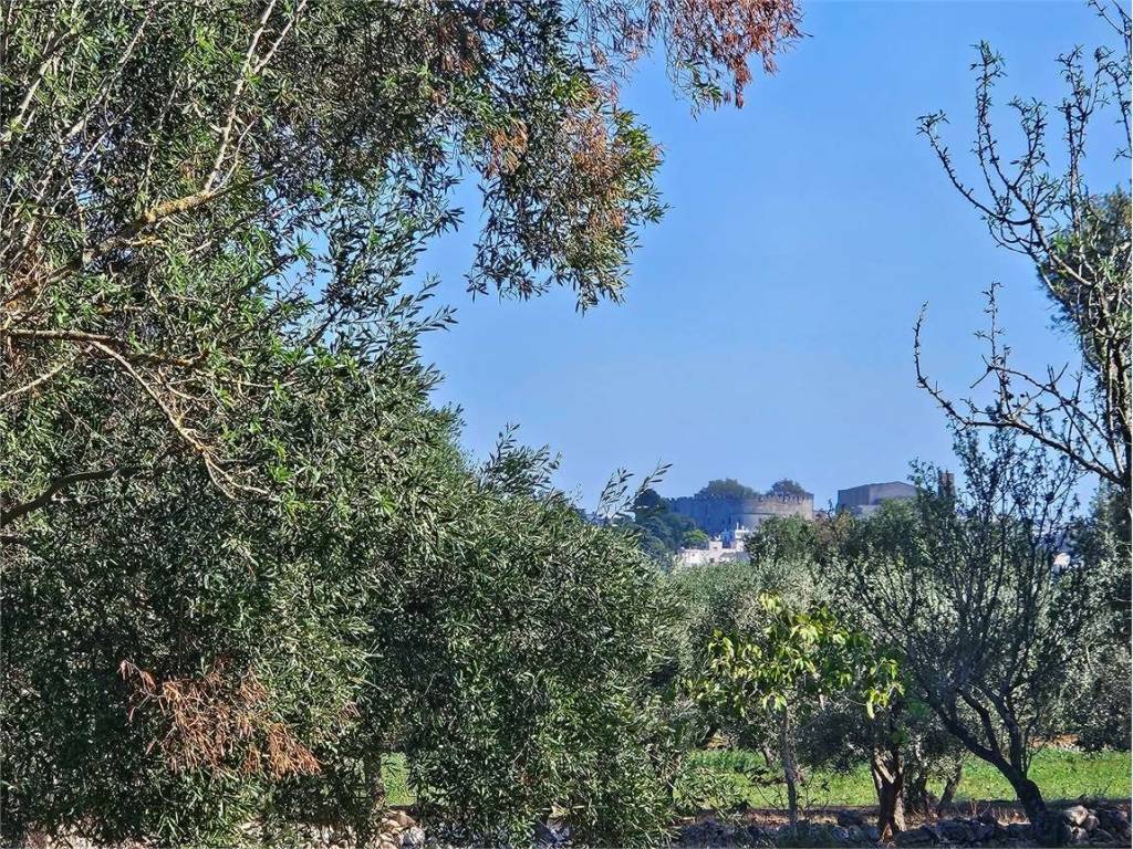 Terreno a Carovigno - Foto 2
