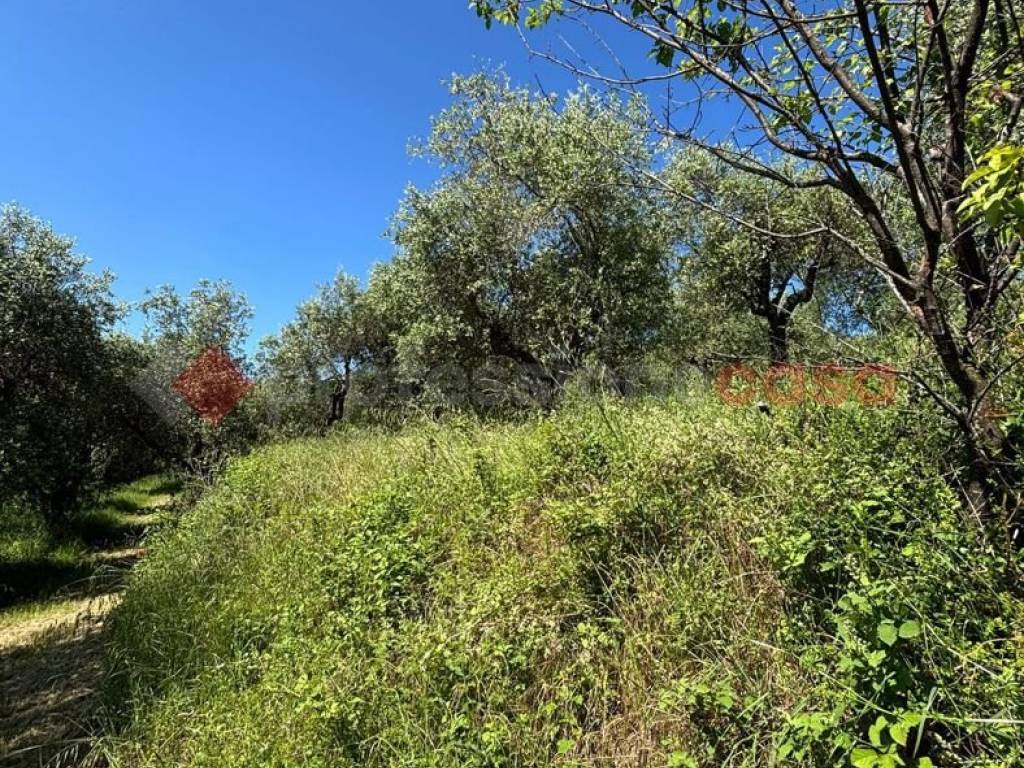 Terreno a Pistoia in via di Saturnana - Foto 2