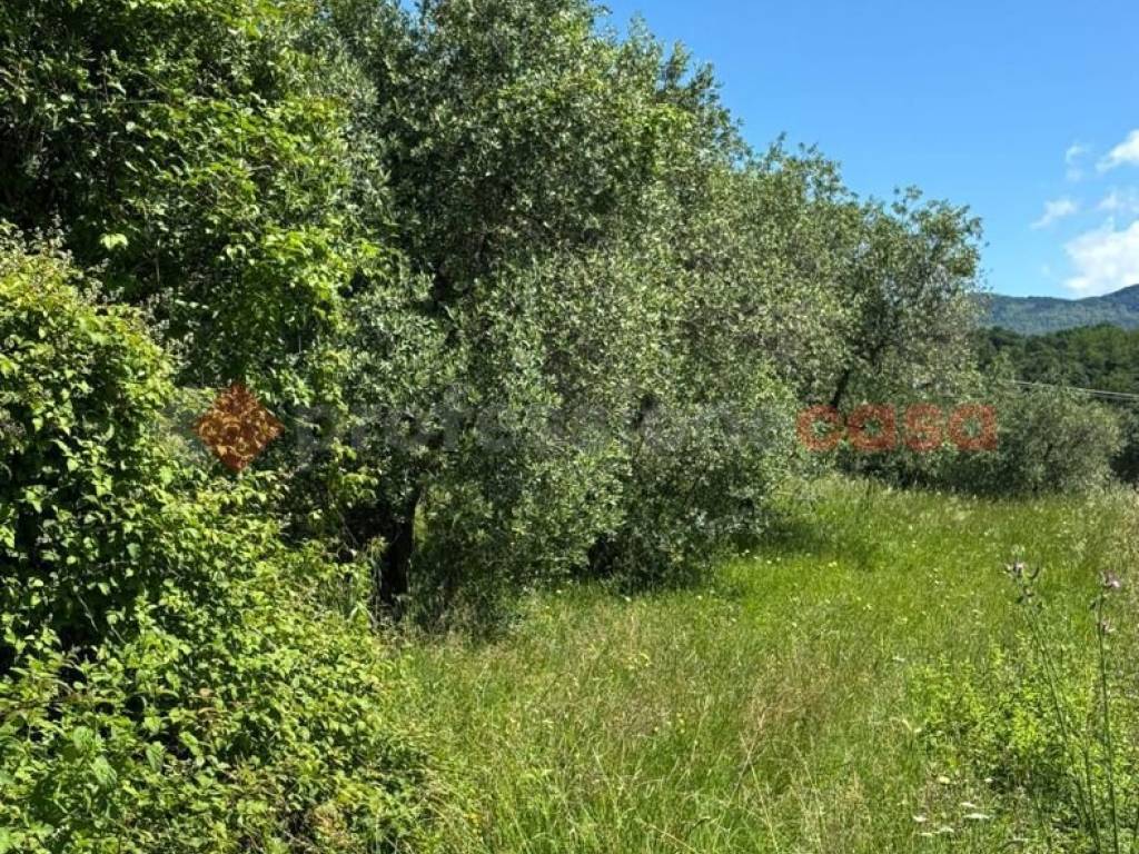 Terreno a Pistoia in via di Saturnana - Foto 3