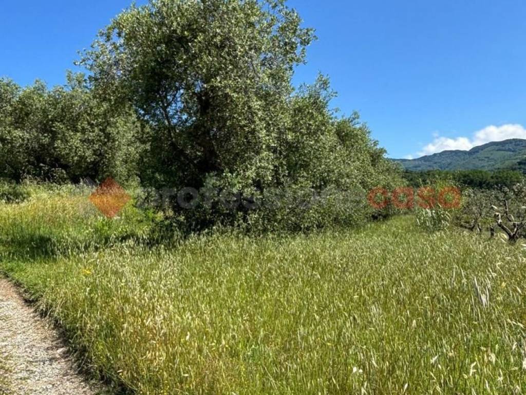 Terreno a Pistoia in via di Saturnana - Foto 5
