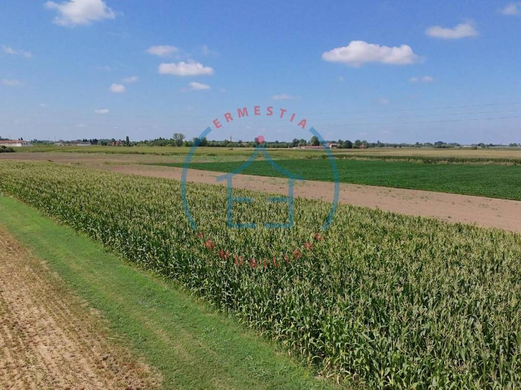 Terreno a Borgo veneto in Via Cabriani - Foto 3
