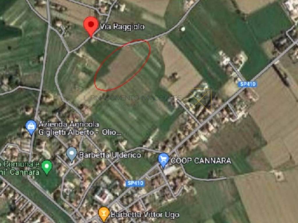 Terreno a Cannara in Via Raggiolo - Foto 3