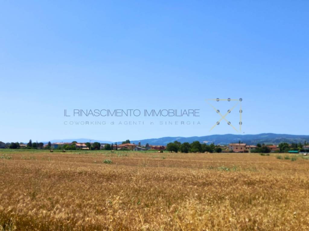 Terreno a Cannara in Via Raggiolo - Foto 4