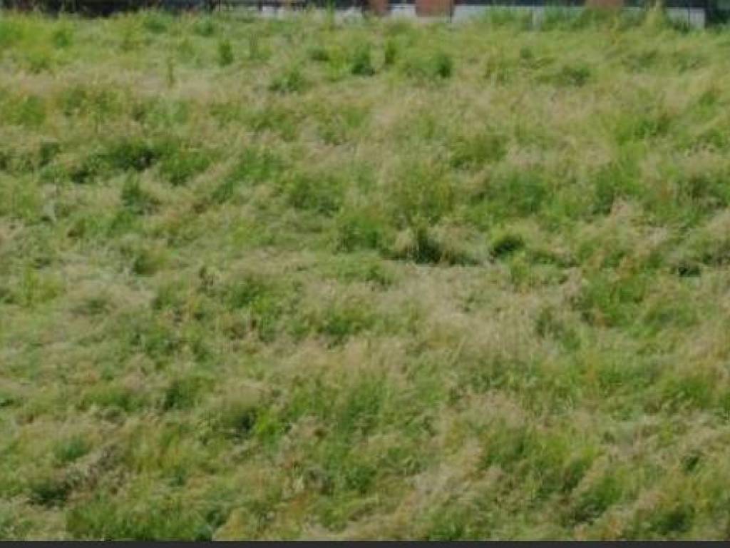Terreno a Mapello in Via Pascoli - Foto 2