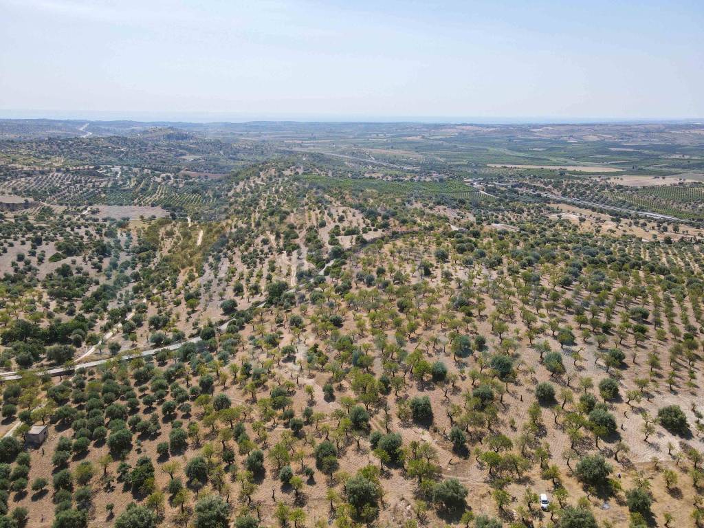 Terreno a Noto in Via Tommaso Fazello, 228 - Foto 2