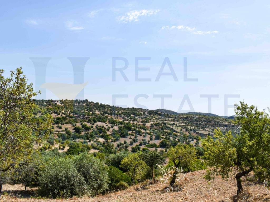 Terreno a Noto in Via Tommaso Fazello, 228 - Foto 3