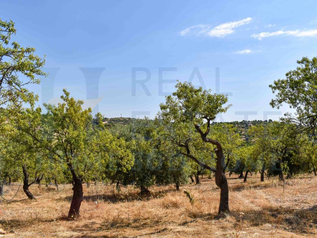 Terreno a Noto in Via Tommaso Fazello, 228 - Foto 5