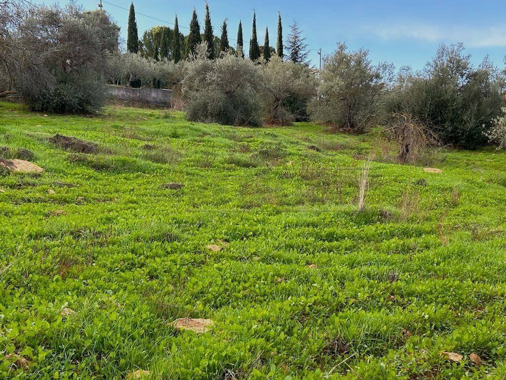Terreno a Caltanissetta in Via dei Gelsi di Niscima, 1 - Foto 3