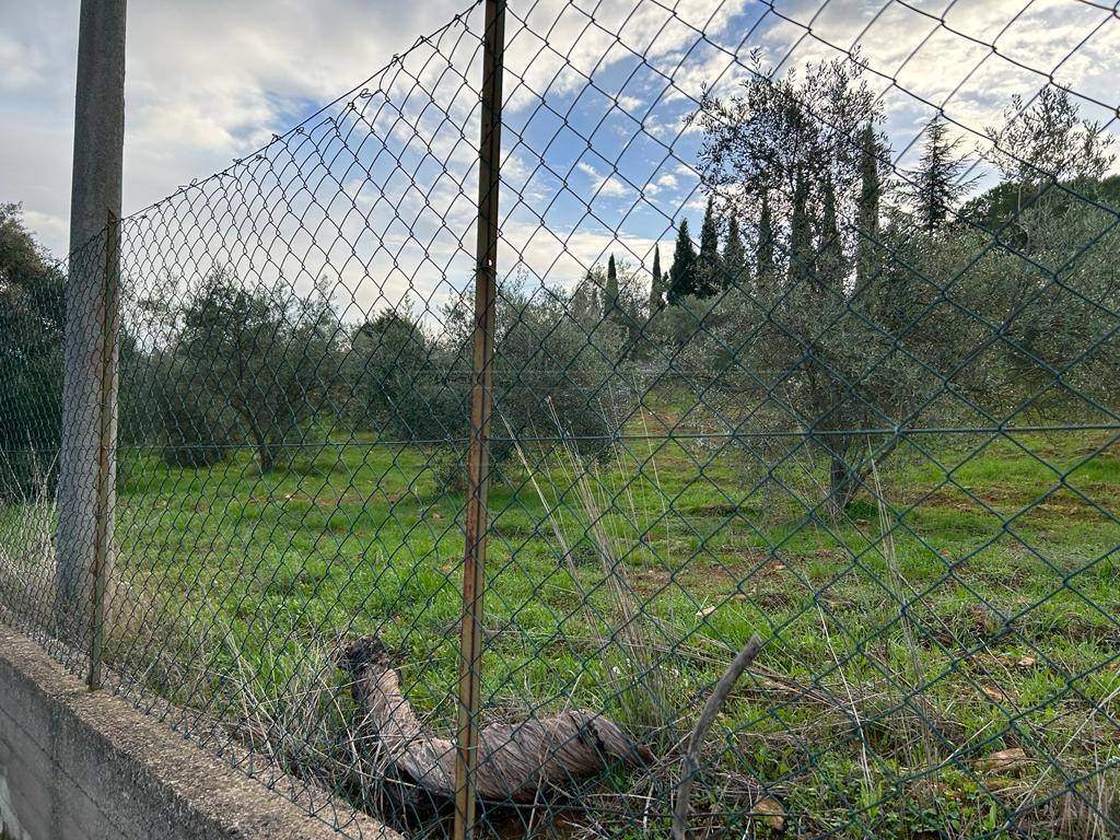Terreno a Caltanissetta in Via dei Gelsi di Niscima, 1 - Foto 5