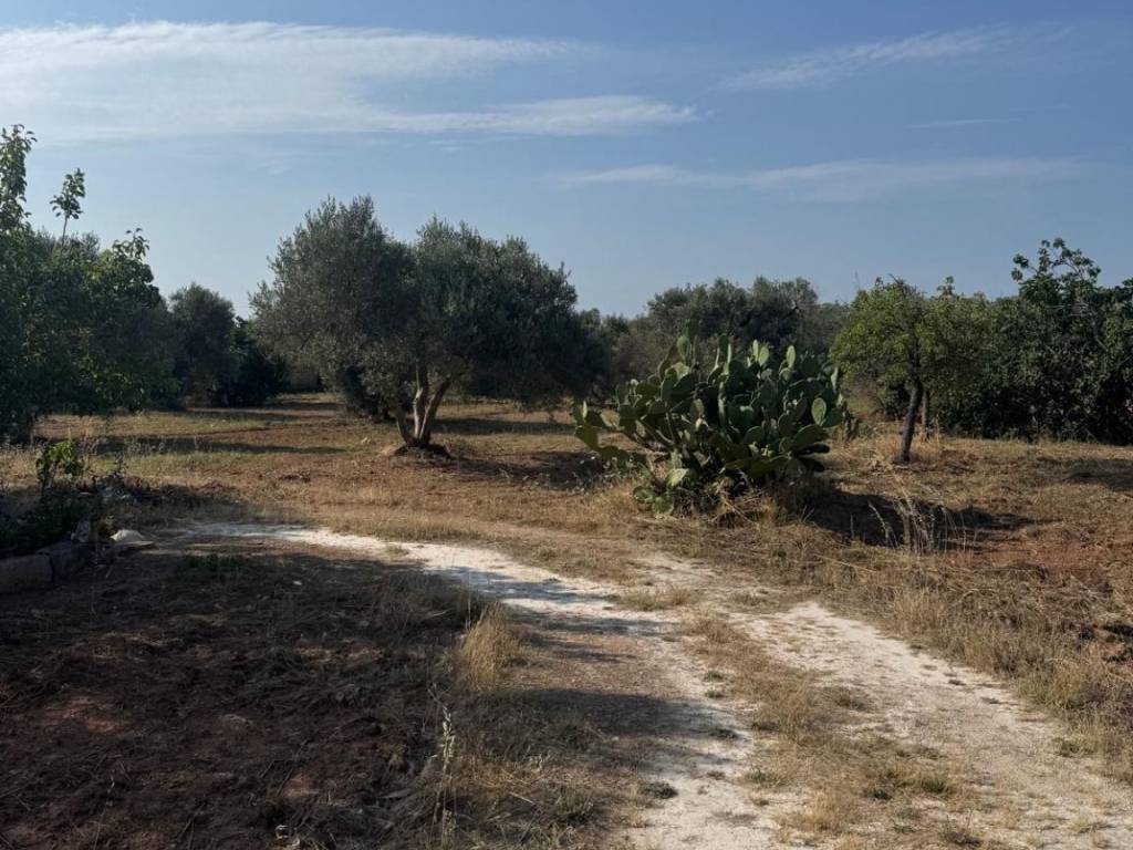 Terreno a Francavilla fontana in SP28 - Foto 4