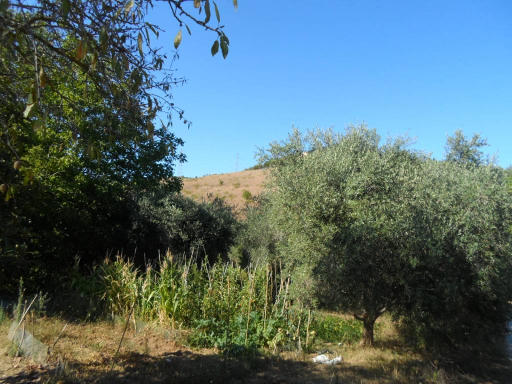 Terreno a Monteprandone in Via Monterone - Foto 4