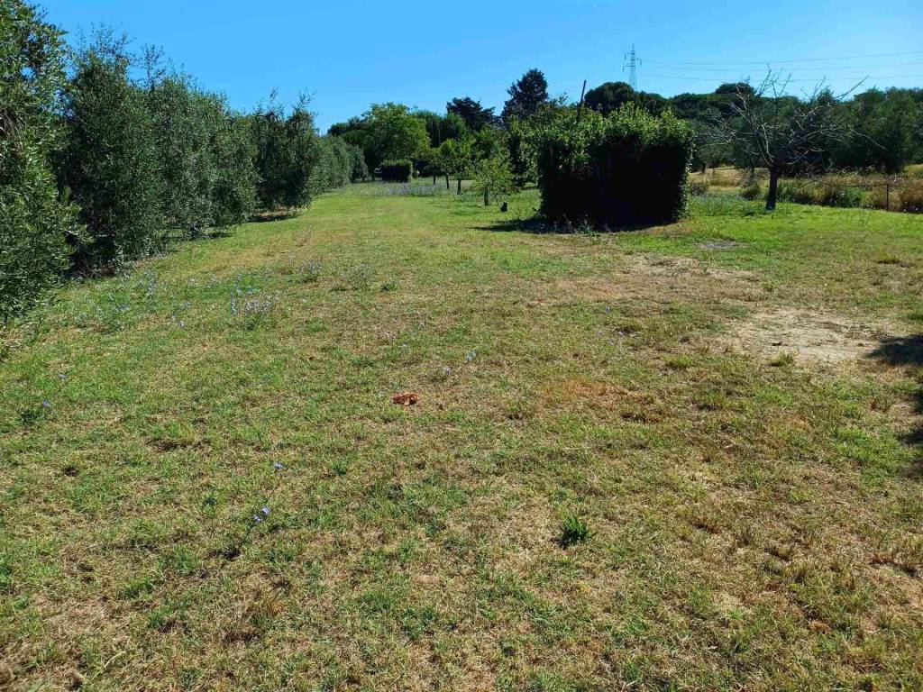 Appartamento a Campiglia marittima - Foto 2