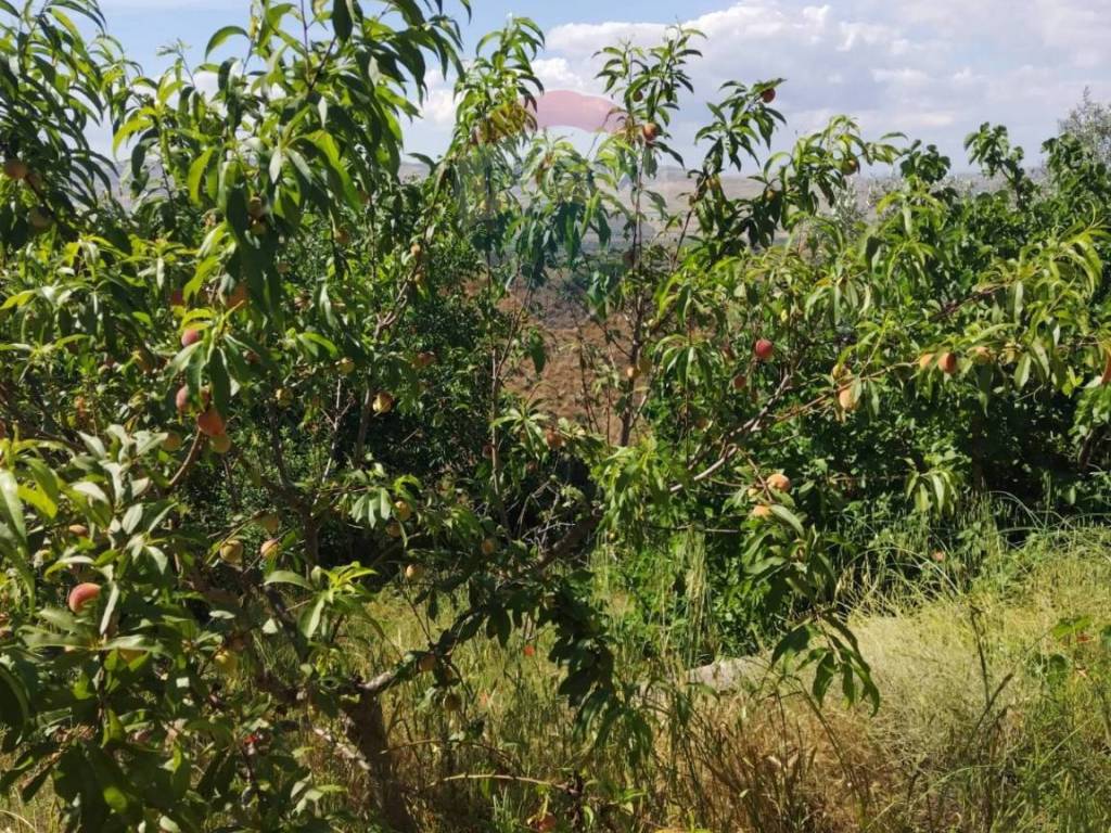 Villa a Grammichele in Contrada Poggio dell'Aquila - Foto 5