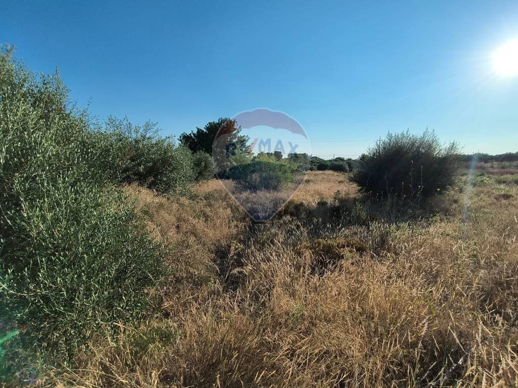 Terreno a Chiaramonte gulfi in contrada Cifali - Foto 3