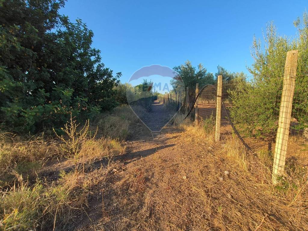 Terreno a Chiaramonte gulfi in contrada Cifali - Foto 5
