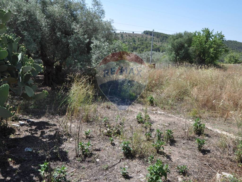 Casa indipendente a Ragusa in contrada salinella - Foto 4