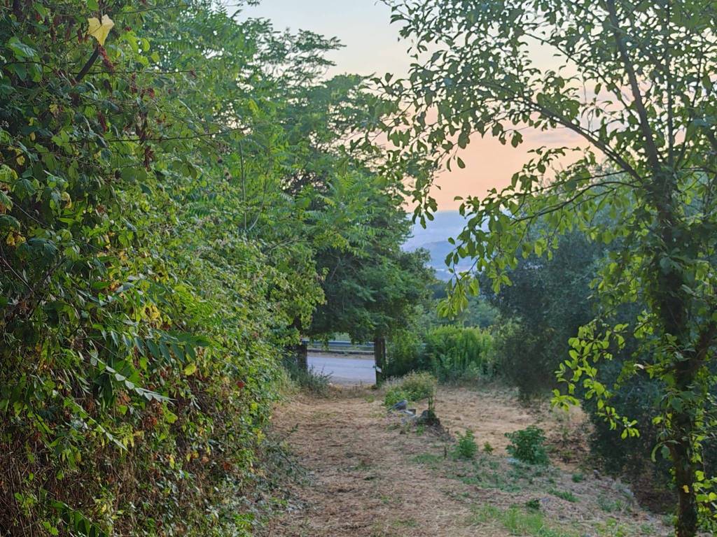 Terreno a Caserta in Via Lupara - Foto 5