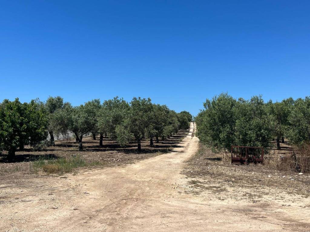 Immobile a Noto in Contrada Triona - Foto 4