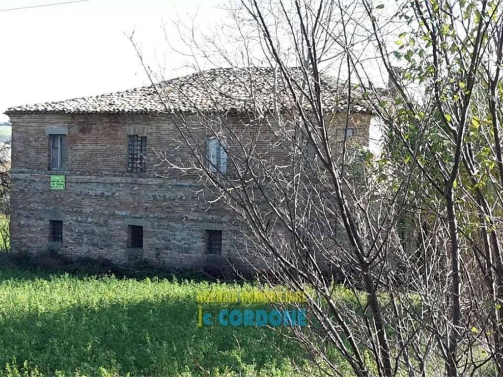 Rustico / casale a Rapagnano - Foto 3