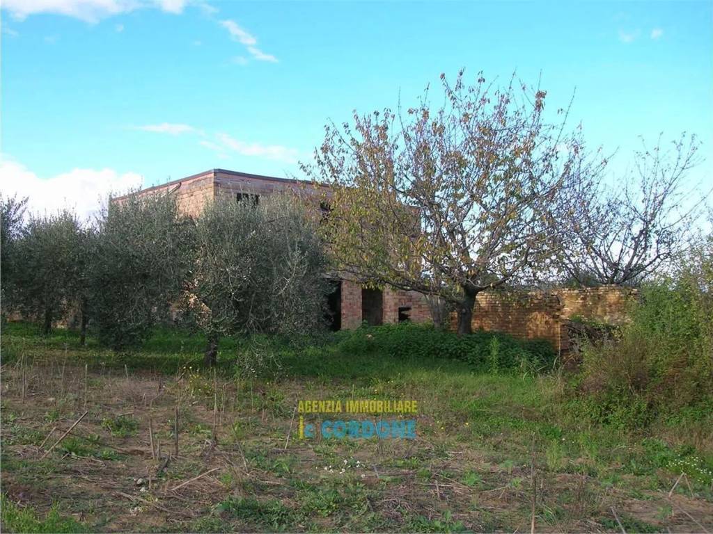 Rustico / casale a Montegiorgio - Foto 2