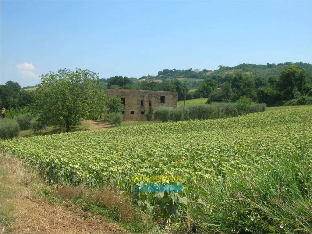 Rustico / casale a Montegiorgio - Foto 5