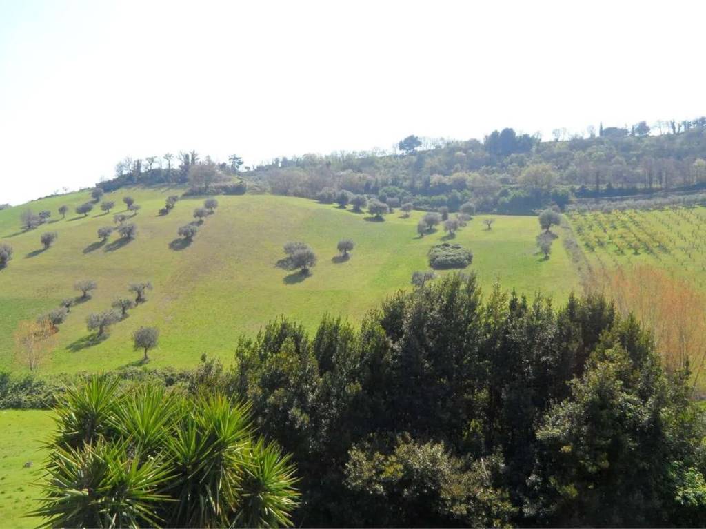 Appartamento a Campofilone - Foto 5