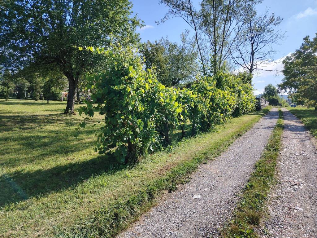 Villa a Feltre in Via Giuseppe Garibaldi, 8 - Foto 2