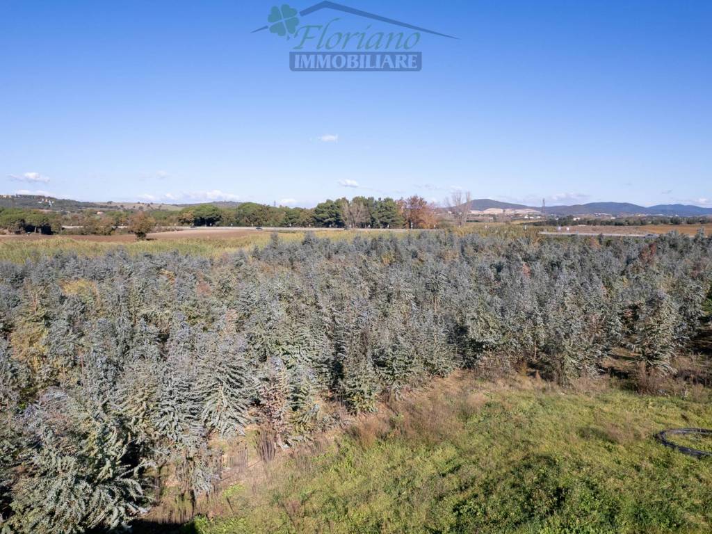 Villa a Montalto di castro in Strada Tavolaro - Foto 3