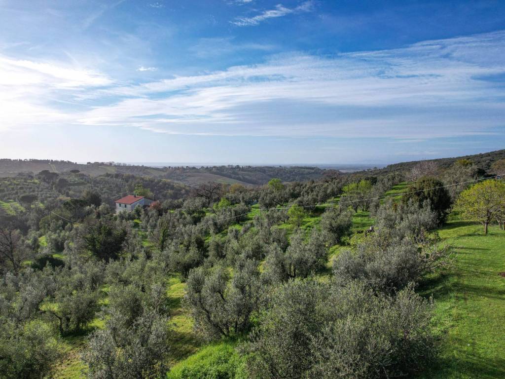Rustico / casale a Castagneto carducci in Località Casa Vecchia - Foto 4