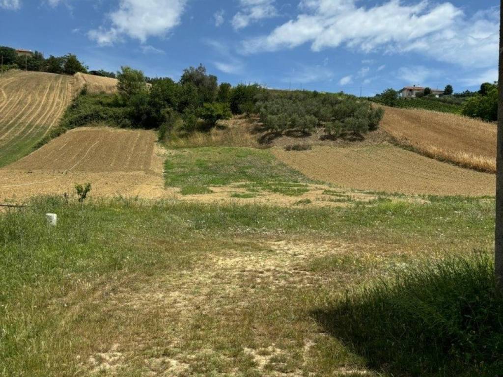Terreno a Tortoreto in Via fondovalle salinello - Foto 3