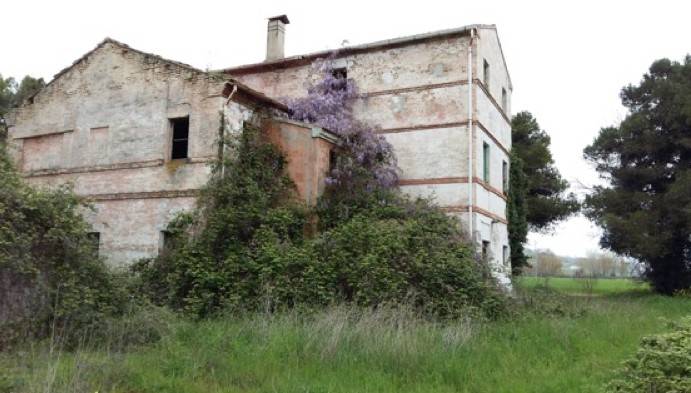 Rustico / casale a Recanati - Foto 4