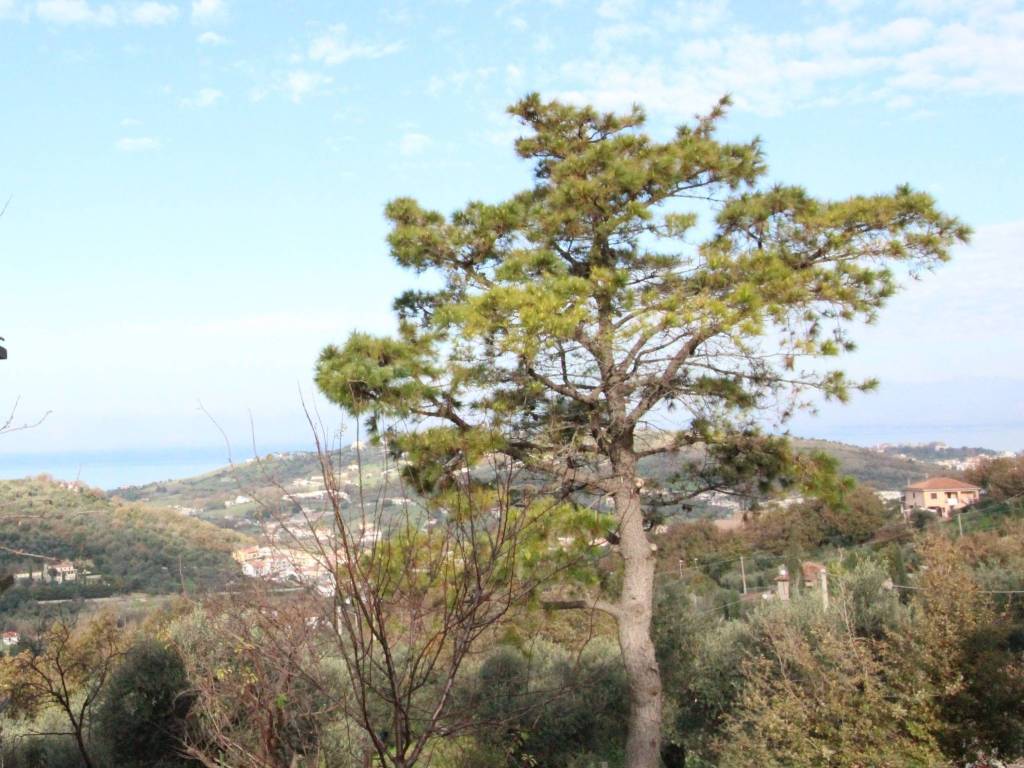 Rustico / casale a Agropoli in Contrada La Vecchia - Foto 4