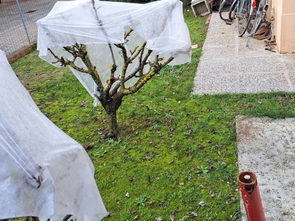 Villa a San felice sul panaro in Via Milano - Foto 4