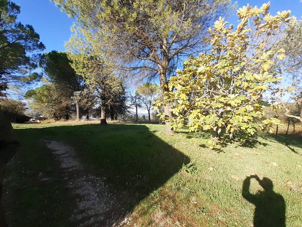 Rustico / casale a Morro reatino in Strada Comunale di Morro-Pacce - Foto 2