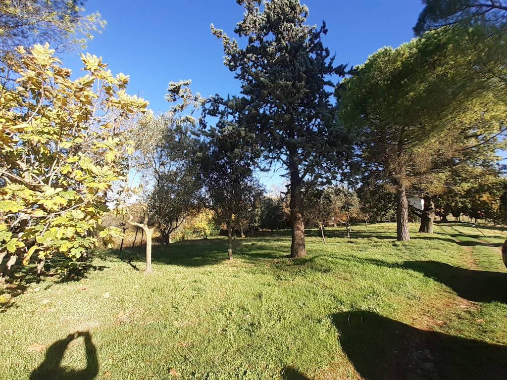 Rustico / casale a Morro reatino in Strada Comunale di Morro-Pacce - Foto 3