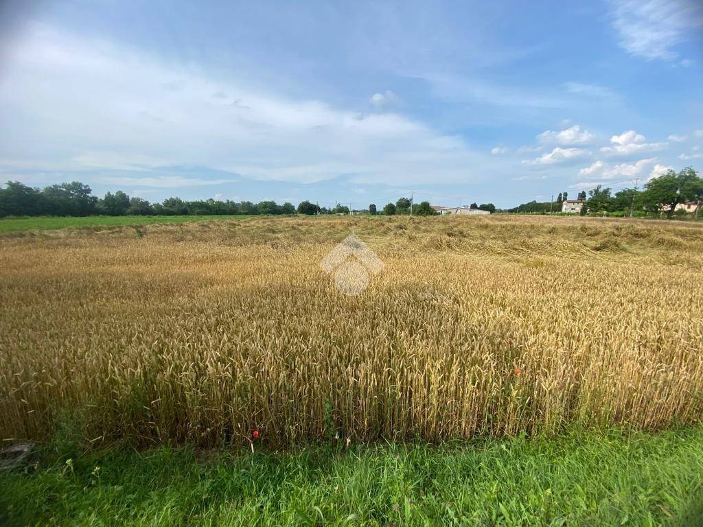 Terreno a Sant'ilario d'enza in Via Pasubio, 1 - Foto 3
