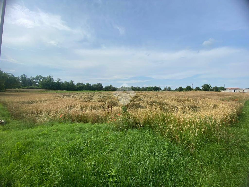 Terreno a Sant'ilario d'enza in Via Pasubio, 1 - Foto 4
