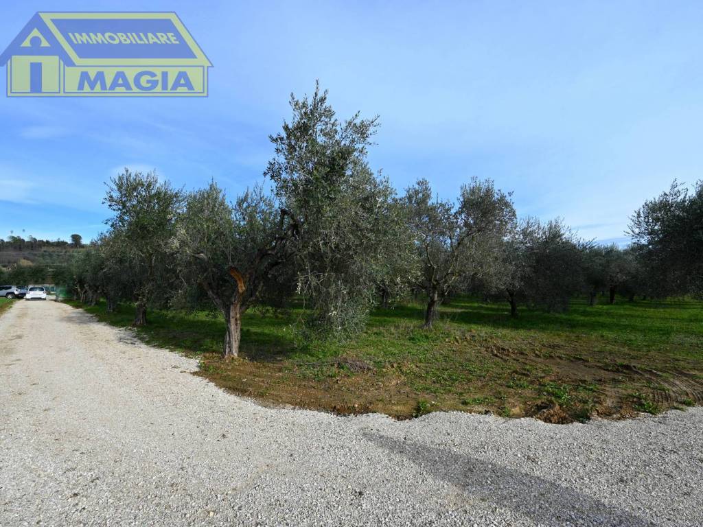 Terreno a Colli del tronto in Via Salaria, 62 - Foto 2
