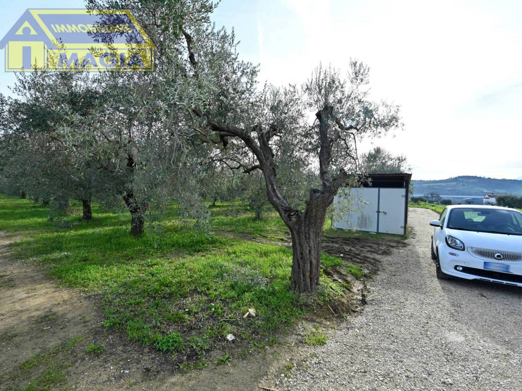 Terreno a Colli del tronto in Via Salaria, 62 - Foto 4