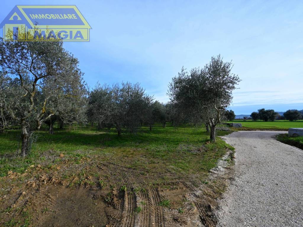 Terreno a Colli del tronto in Via Salaria, 62 - Foto 5
