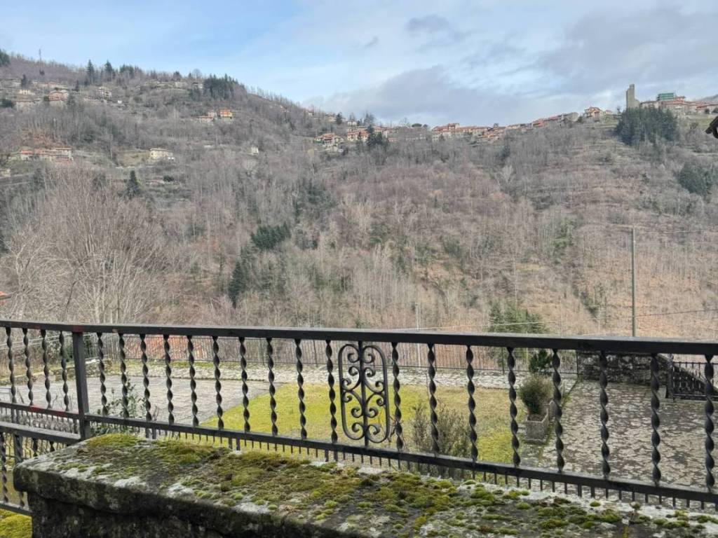 Casa indipendente a Montemignaio in LOC. FORCANASSO, 1 - Foto 2