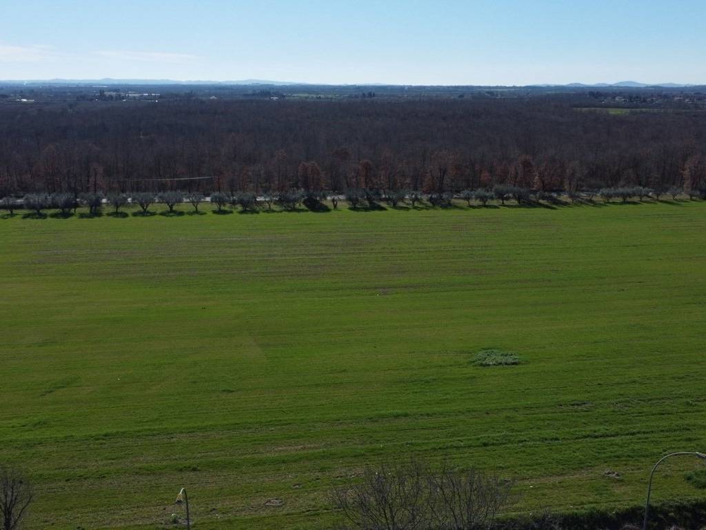 Terreno a Nepi in Strada Regionale Cassia - Foto 3