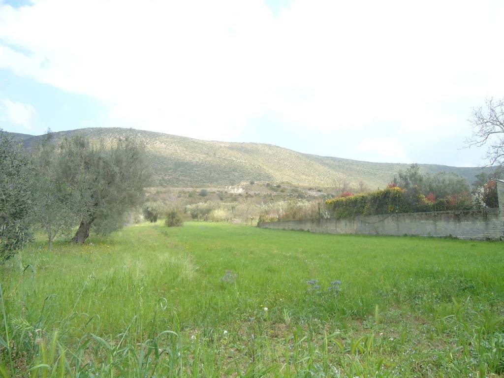 Terreno a Camigliano in Strada Comunale Camigliano-Leporano - Foto 3